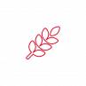 Fibra