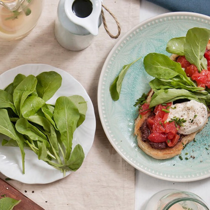 Bruschetta raspada con tomate cubeteado